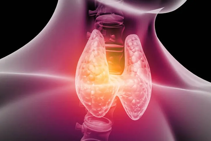 ENDOCRINOLOGY